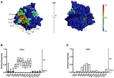 Structural Determinants of the APOBEC3G N-Terminal Domain for HIV-1 RNA Association